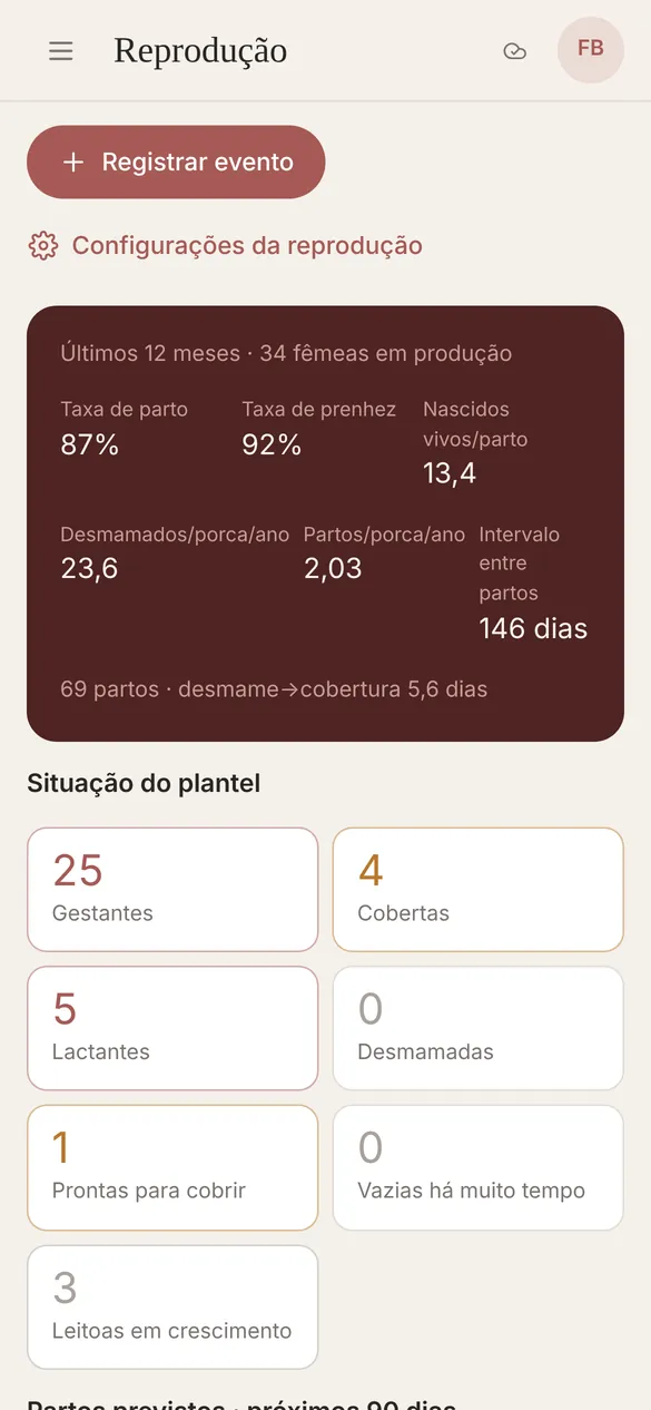 Reprodução no celular.